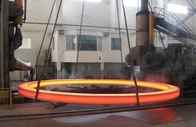 فورج داغ 316 304 حلقه بلبرینگ فولادی ضد زنگ حلقه نگهدارنده