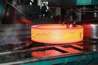 فورج داغ 316 304 حلقه بلبرینگ فولادی ضد زنگ حلقه نگهدارنده